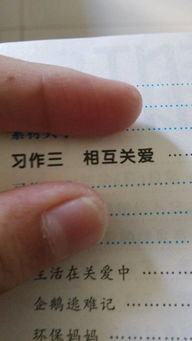 小學(xué)互相關(guān)心的作文開頭結(jié)尾