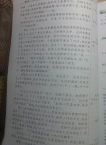 我與陌生人間的故事作文開頭