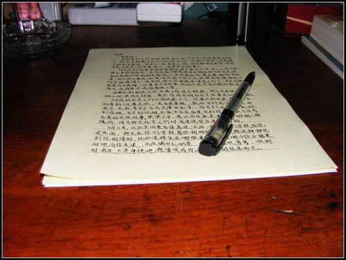 造紙廠員工年終總結(jié)()