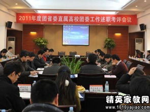 村干部團委書記述職報告(村干部述職報告)