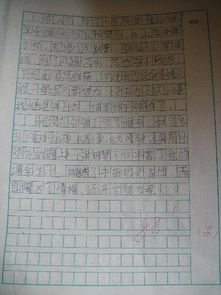 我的課余生活作文的開(kāi)頭