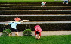 勞動(dòng)的感覺真好作文的開頭