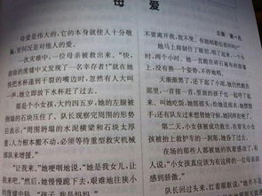 爺爺為我送傘作文開頭