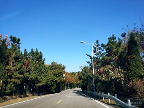 回憶美好的生活的作文開頭