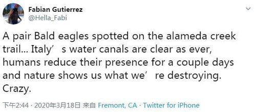 人類如何改變地球環(huán)境作文開頭