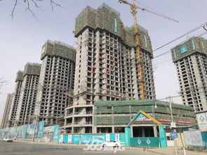 停工(停工報告)