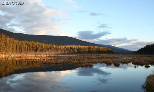 作文親情開頭優(yōu)美句子