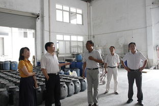 區(qū)非公企業(yè)黨建調(diào)研報告(企業(yè)黨建調(diào)研報告)