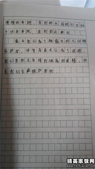 寫難忘的運動會的作文開頭結尾