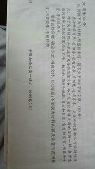 十五，十六作文800字(十五月亮十六圓 )