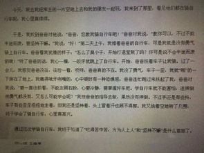 學(xué)會(huì)拒絕游戲作文開頭