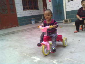 讀書使我快樂的作文開頭結(jié)尾