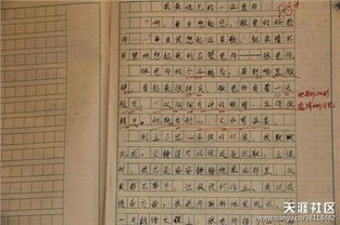 五級(jí)關(guān)于父母抒情作文開頭結(jié)尾