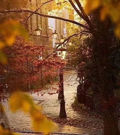 疫情作文開(kāi)頭結(jié)尾優(yōu)美段落,愛(ài)國(guó)作文開(kāi)頭結(jié)尾優(yōu)美段落,窗外作文開(kāi)頭結(jié)尾優(yōu)美段落