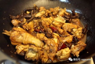 關于各類菌類的做法大全(菌菇類的簡單做法大全)