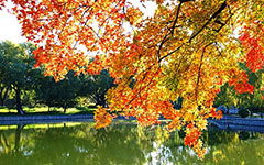 家鄉(xiāng)作文四季開頭結(jié)尾怎么寫