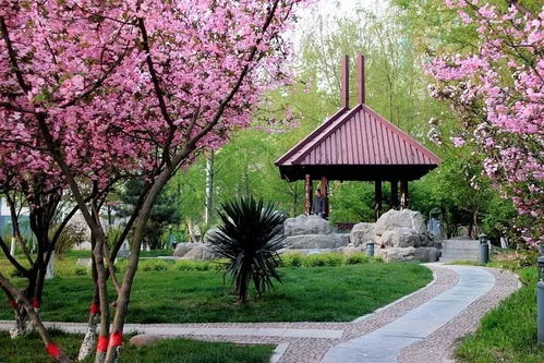 寫公園作文的開頭200字