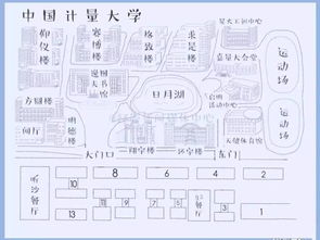 最美的相遇開(kāi)頭作文