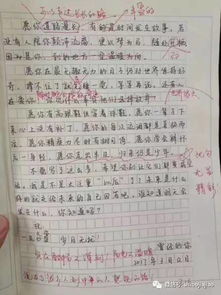 有了愁滋味作文開(kāi)頭