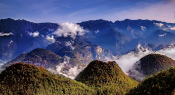 巴山大峽谷作文開頭介紹