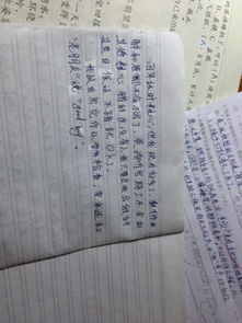 關(guān)于粗心作文開頭結(jié)尾,粗心作文開頭排比句,粗心的我作文開頭