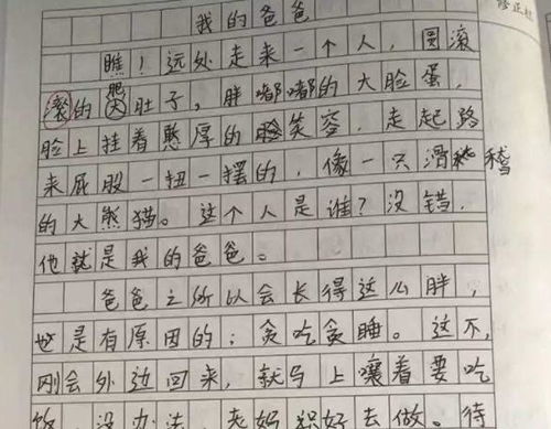 爸爸是你讓我作文600字作文開頭