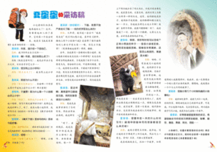 采訪老師的采訪稿范文(采訪老師的采訪稿范文)