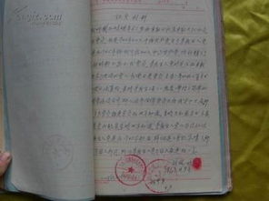 大學(xué)生入黨黨支部政審意見(黨支部政審意見)