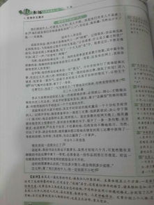 寫身邊的牛人作文600字作文開頭怎么寫