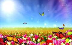 花開的時侯開頭作文字1000