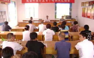 放管服自查報(bào)告范文(放管服自查報(bào)告)