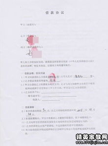 用作項(xiàng)目資金借款合同(2)(用作項(xiàng)目資金借款合同)