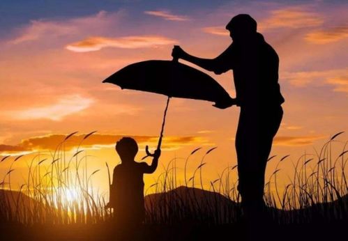 我和我的一班作文開頭