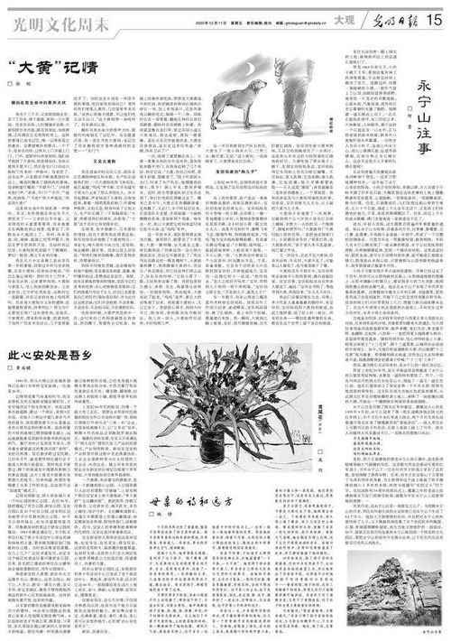 關(guān)于大黃的作文(關(guān)于韭黃的作文精選)