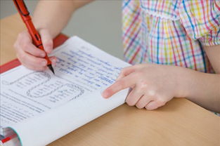 人間真情的愛作文開頭