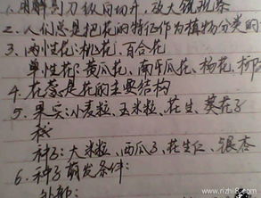 我和什么什么的同學(xué)的作文600字作文開頭