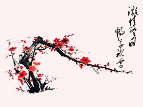 中午陽光作文開頭