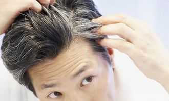 幫媽媽拔白頭發(fā)的作文500字的開頭