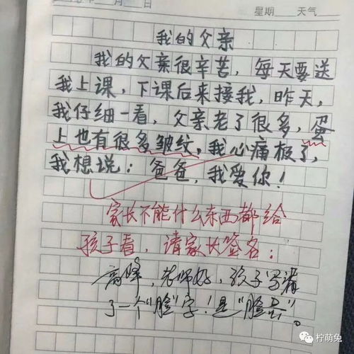 小學(xué)生帶感情作文開頭