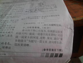 寫春天美景的作文的開頭