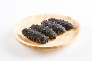 海參的簡介 海參的做法(海參的做法大全)