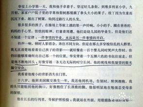 推薦目送作文開頭