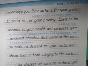 英語(yǔ)作文開頭打招呼萬能句子,高考英語(yǔ)作文開頭萬能句子,高考英語(yǔ)作文萬能句子開頭和結(jié)尾