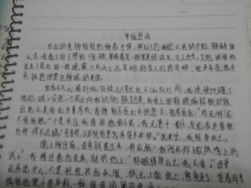 描寫真實(shí)情感的作文怎么寫,關(guān)于情感的開(kāi)頭和結(jié)尾作文怎么寫,情感的作文怎么寫