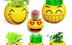 以微笑的什么作文600字作文開頭