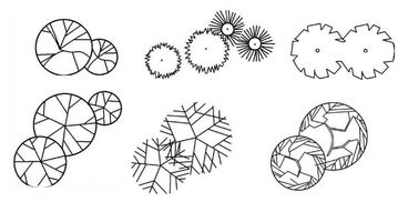 園林設(shè)計樹木的畫法(園林設(shè)計樹木的畫法)
