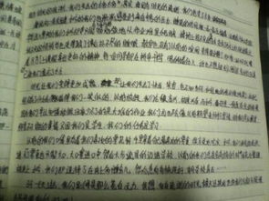 陽(yáng)光下的一朵花作文800字作文開頭