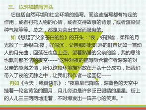 亮的作文提綱開(kāi)頭