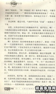 運(yùn)動(dòng)會(huì)給我的鼓勵(lì)作文開頭結(jié)尾