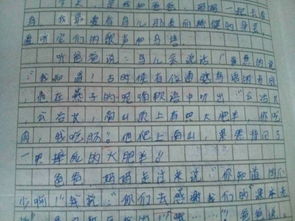 一件友誼難忘的事作文600字作文開(kāi)頭